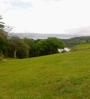 Scenic Land for Sale in Guanacaste Near Lake Arenal thumbnail