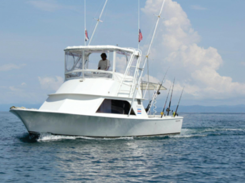 Incredible Deal – Sport Fishing Company for Sale at Reduced Price