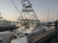 Incredible Deal – Sport Fishing Company for Sale at Reduced Price thumbnail