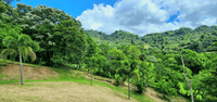 Modern Balinese Compound with Stunning Mountain and Valley Views in Atenas thumbnail