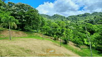 Prime Hilltop Building Lot in Atenas, Costa Rica thumbnail