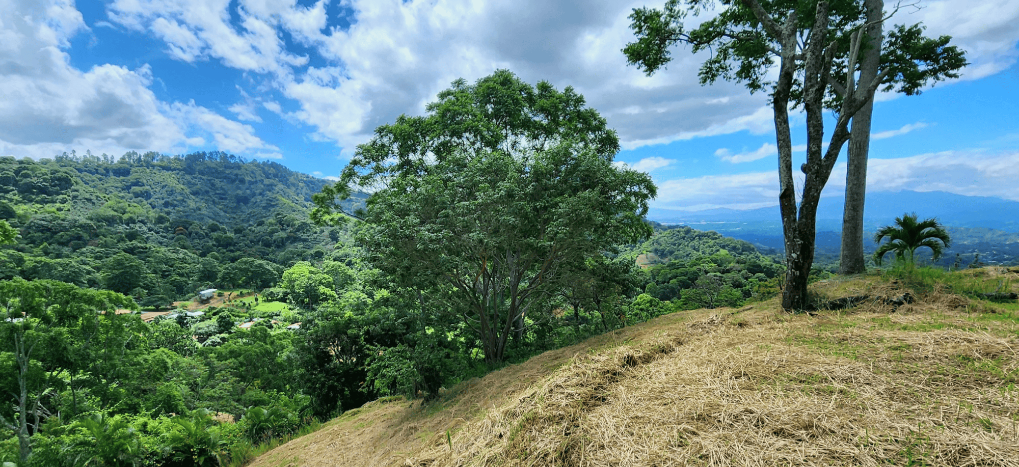 Modern Balinese Compound with Stunning Mountain and Valley Views in Atenas