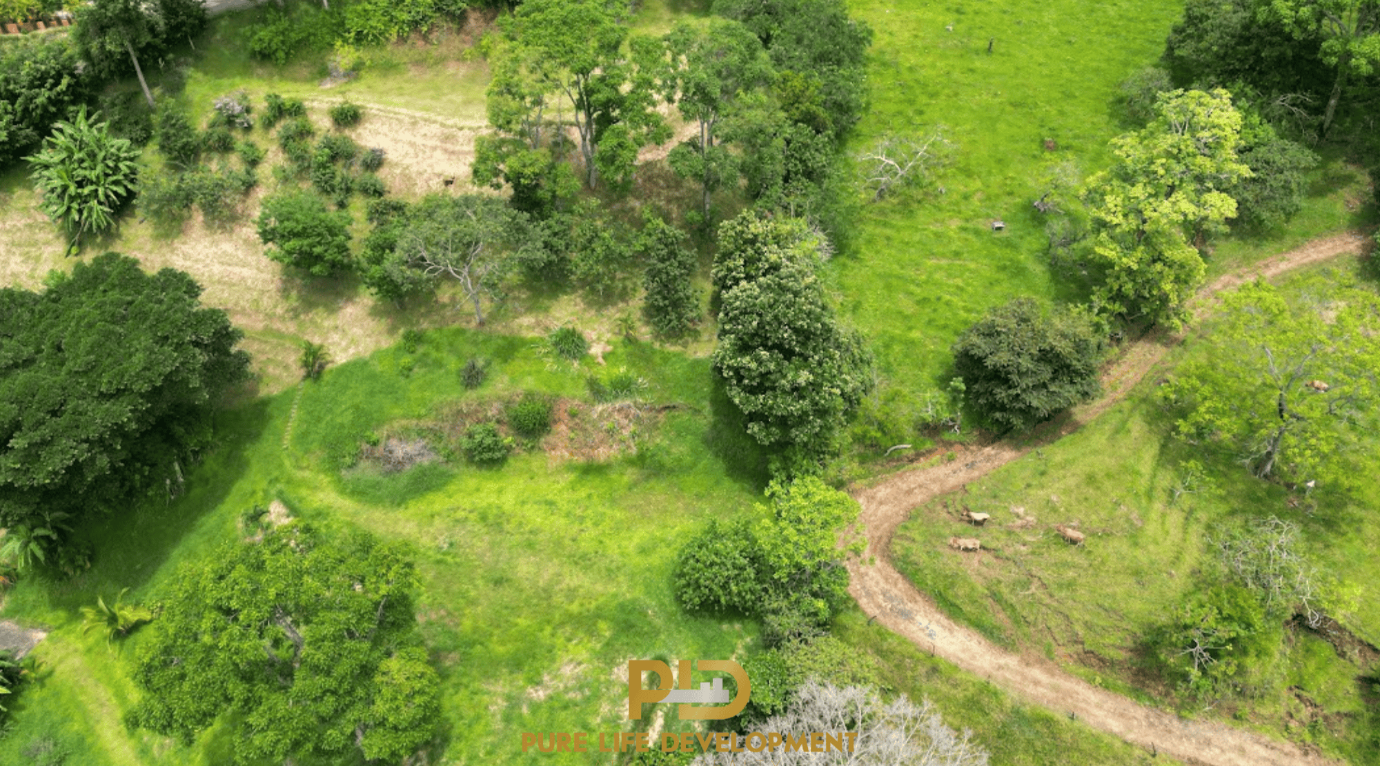 Prime Hilltop Building Lot in Atenas, Costa Rica