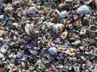 Playa Blanca Beach Club Residence Lot #9 thumbnail
