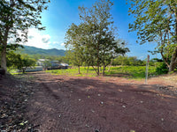 Lot #6 in Flamingo – Ready with Water Letter thumbnail