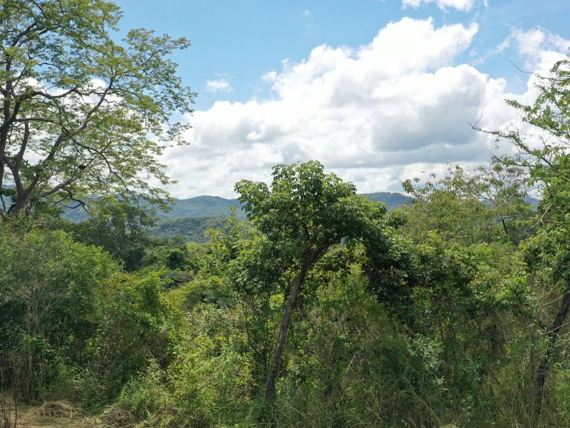 Panoramic Hillside and Valley Views from Lomas del Mar Lot 1-55, Suite Matapalo