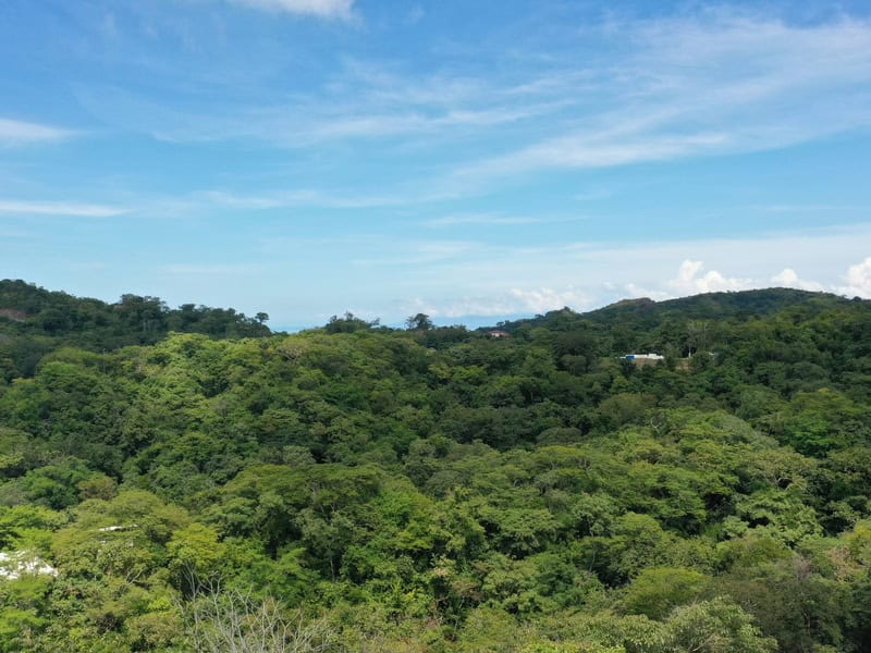 Panoramic Hillside and Valley Views from Lomas del Mar Lot 1-55, Suite Matapalo