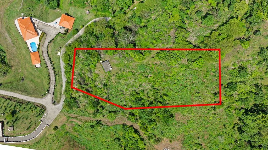 Ocean View Lot in Cactus Heights