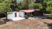 Casa Mango thumbnail