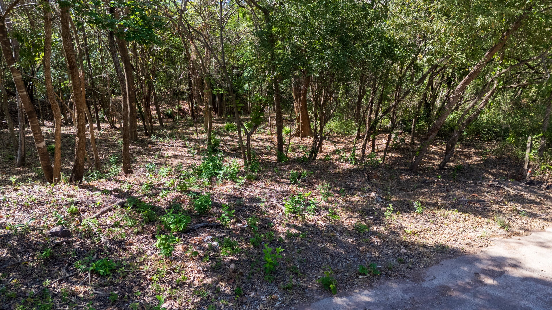 Rancho Las Colinas Lot #107 – Prime Homesite