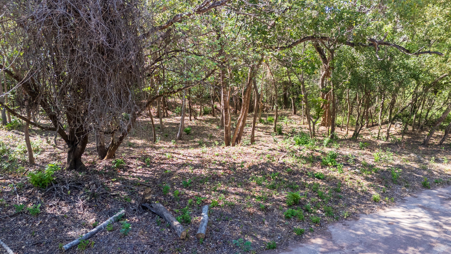 Rancho Las Colinas Lot #107 – Prime Homesite