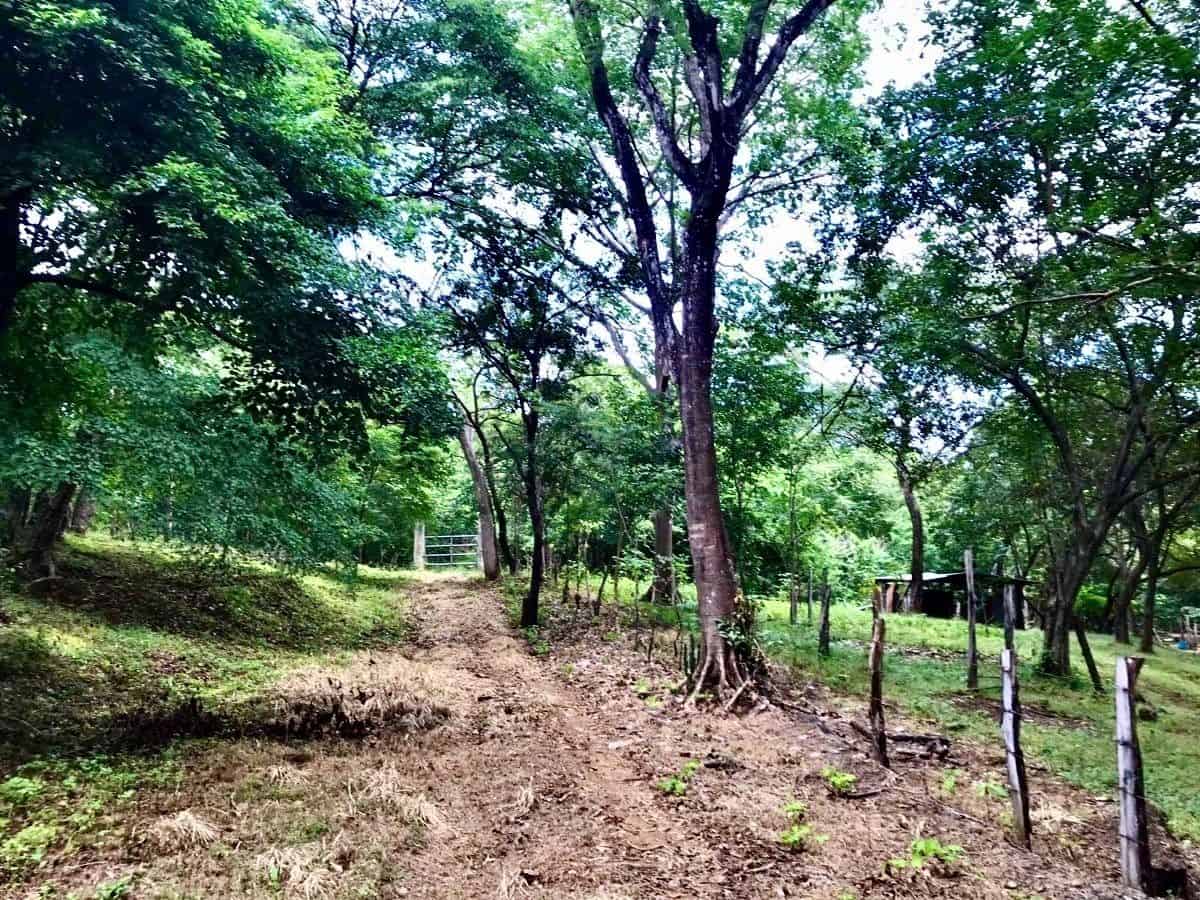 La Futura Finca – Your Future Oasis Just 20 Minutes from Playas del Coco