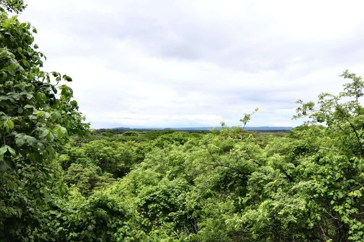 La Futura Finca – Your Future Oasis Just 20 Minutes from Playas del Coco