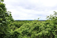 La Futura Finca – Your Future Oasis Just 20 Minutes from Playas del Coco thumbnail