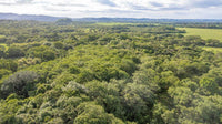 La Futura Finca – Your Future Oasis Just 20 Minutes from Playas del Coco thumbnail