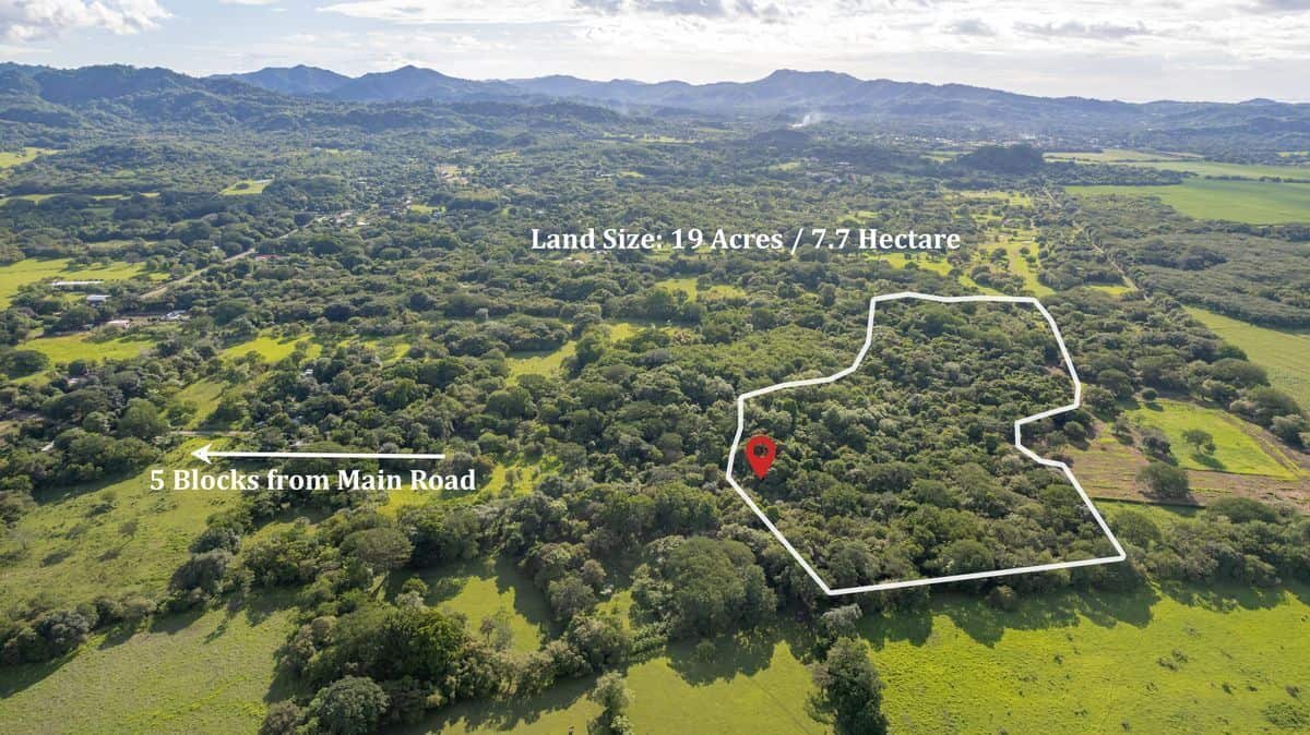 La Futura Finca – Your Future Oasis Just 20 Minutes from Playas del Coco
