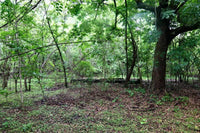 La Futura Finca – Your Future Oasis Just 20 Minutes from Playas del Coco thumbnail