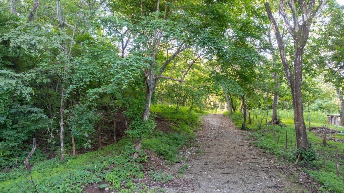 La Futura Finca – Your Future Oasis Just 20 Minutes from Playas del Coco