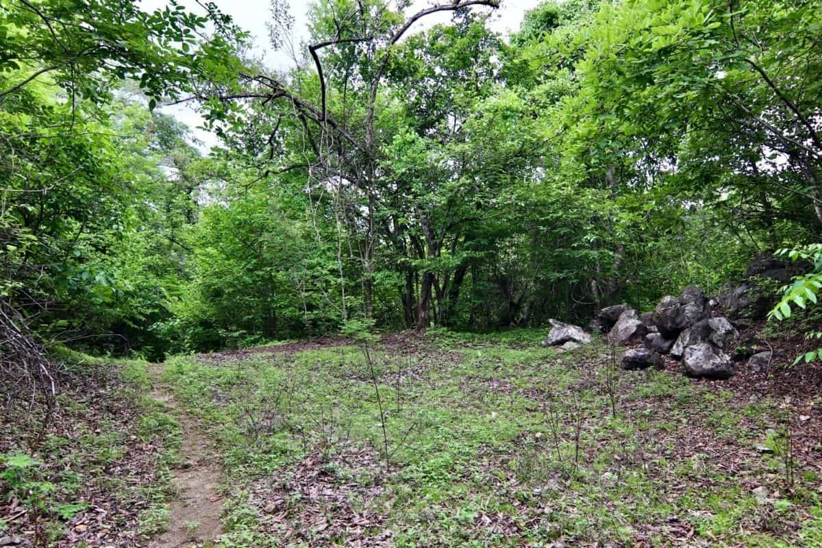 La Futura Finca – Your Future Oasis Just 20 Minutes from Playas del Coco