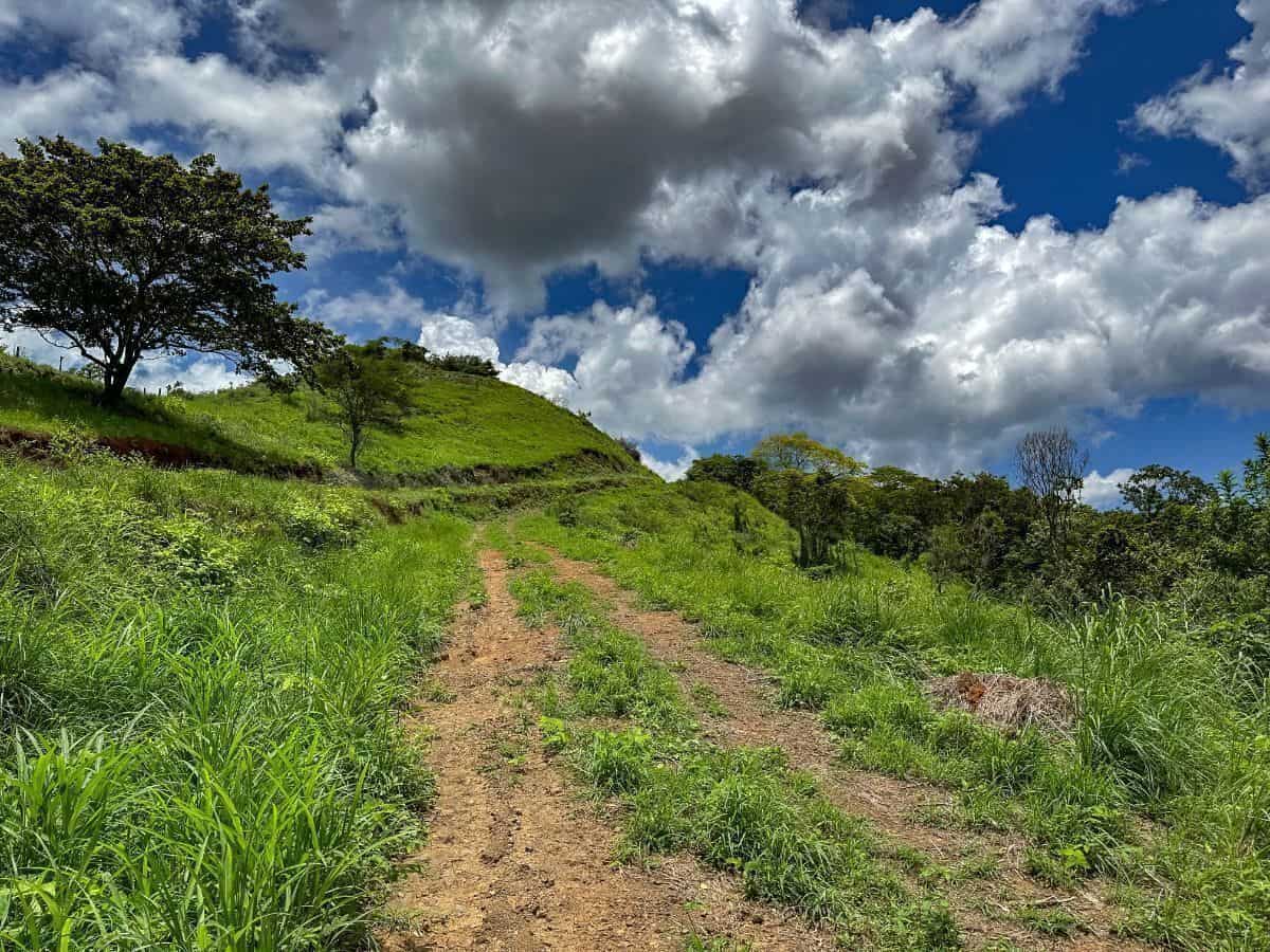 29 Hectares of Ocean View Land for Development in Playas del Coco