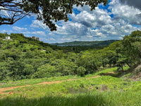 29 Hectares of Ocean View Land for Development in Playas del Coco thumbnail