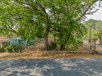 Green Grove La Libertad Lot - Embrace an Organic Lifestyle thumbnail