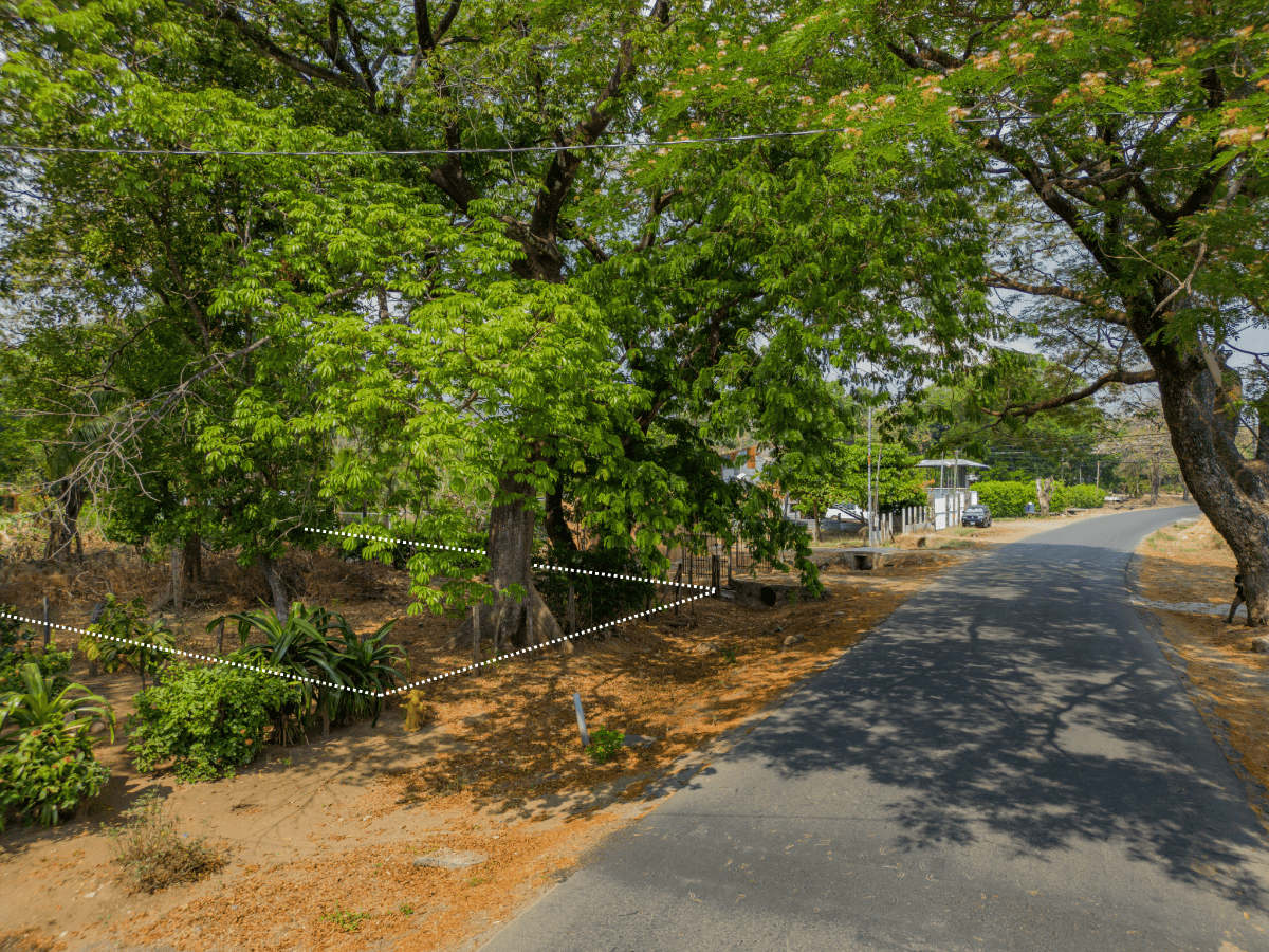 Green Grove La Libertad Lot - Embrace an Organic Lifestyle