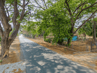 Green Grove La Libertad Lot - Embrace an Organic Lifestyle thumbnail