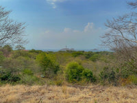 Vista Coco - Ocean View Lot for Sale thumbnail