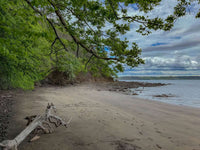 Vista Bahia Resort and Beachfront Land in Gulf of Papagayo -Expandable 152 Units thumbnail