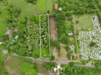 Prime Property in Coco Beach thumbnail