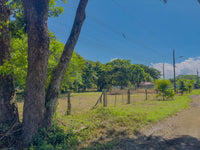 Los Llanos Lot: 1.91 Acres Available for Sale in Sardinal thumbnail