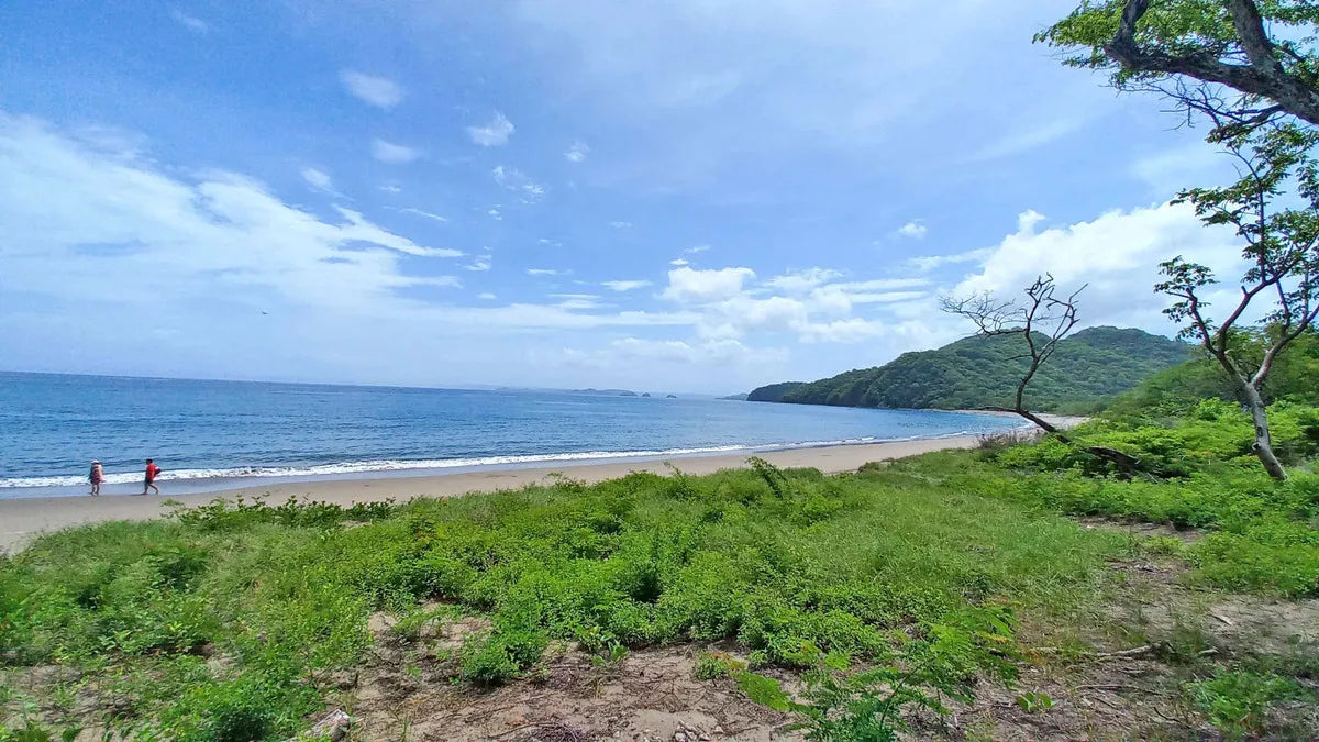 Playa Matapalo Beachfront Gem – Exceptional Residential Opportunity