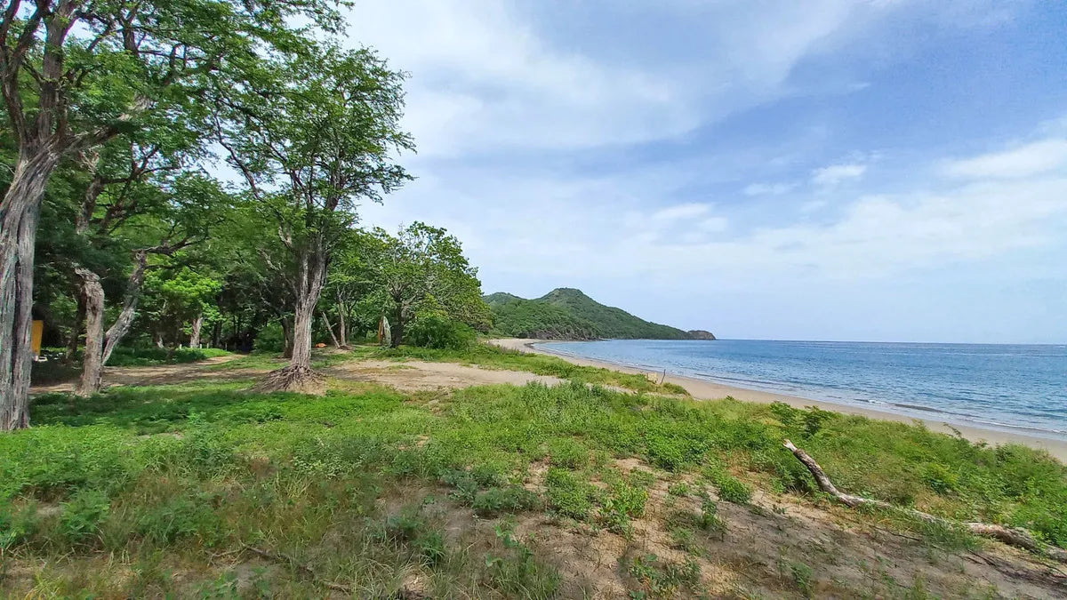 Playa Matapalo Beachfront Gem – Exceptional Residential Opportunity