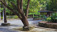 Playa Hermosa 900: Prime Development Opportunity in Guanacaste thumbnail