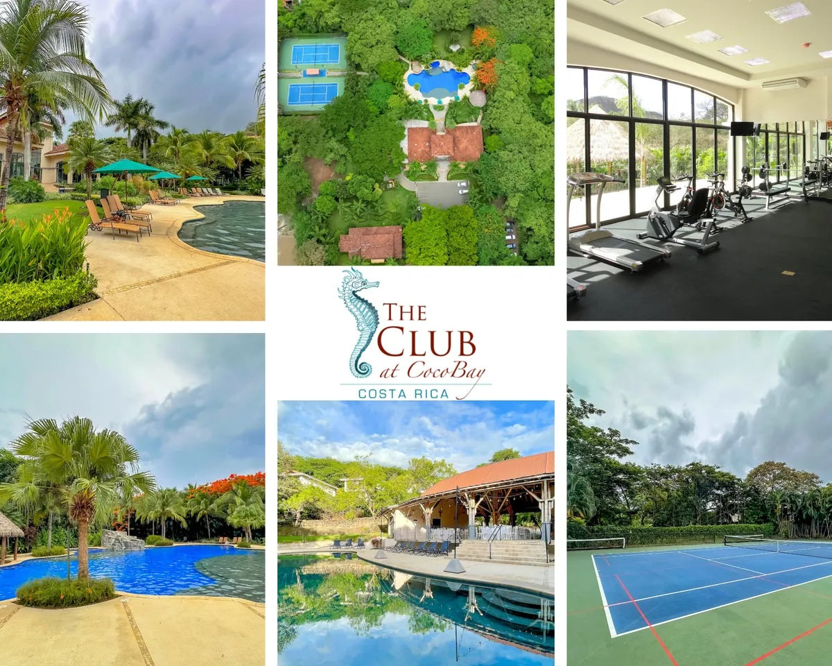 Villa Oceana – Coastal Luxury with Ocean Views in Coco Bay Estates