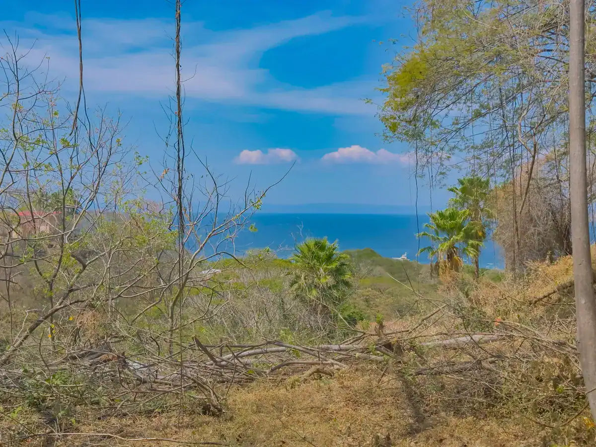 Blue Sky Ocotal Lot 19: Elevated Living in the Serene Blue Sky Community