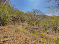 Blue Sky Ocotal Lot 19: Elevated Living in the Serene Blue Sky Community thumbnail