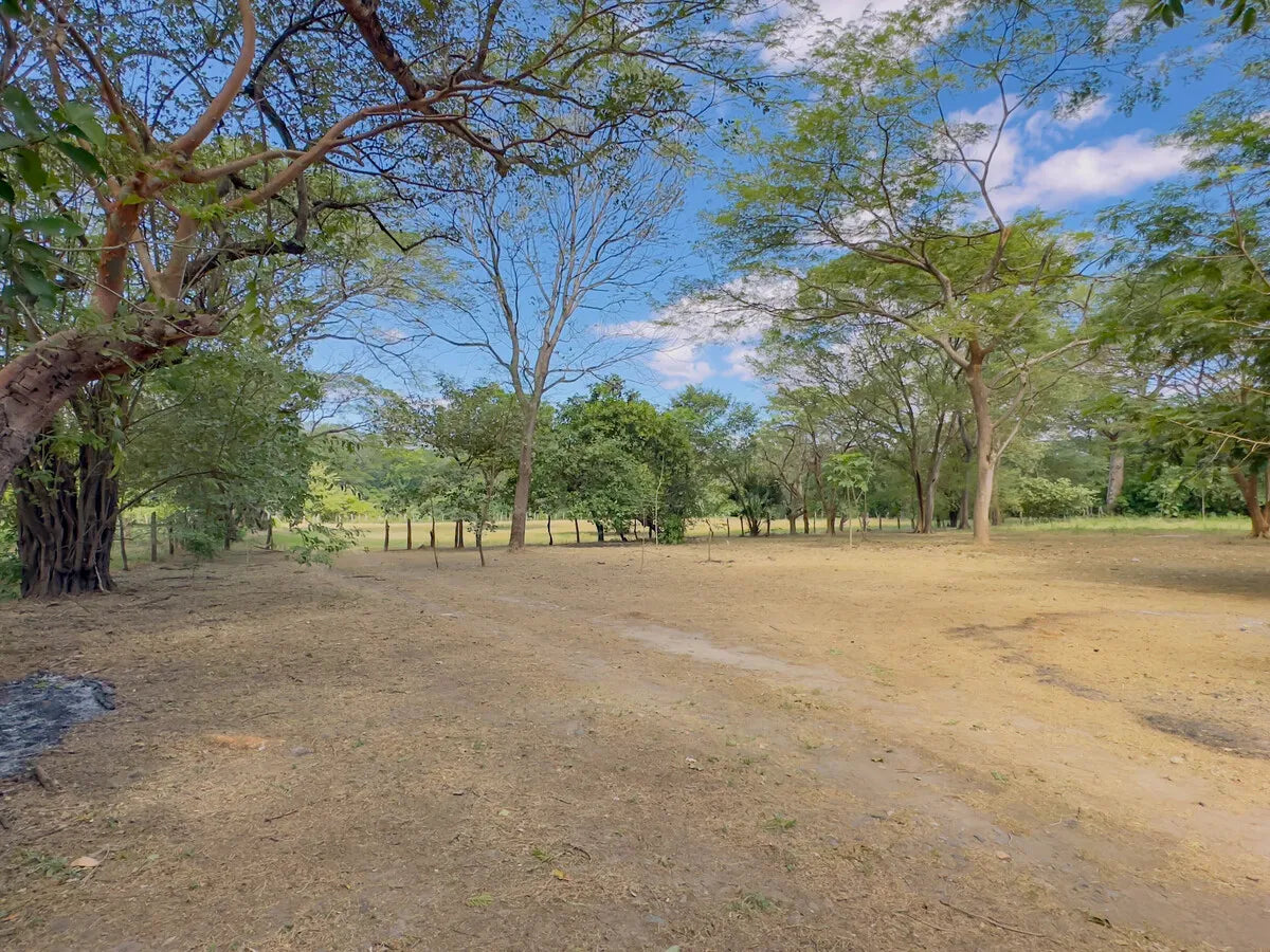 Casa Solaz – Nature-Inspired Living | House + Land at $92/m² | Seller Financing Available