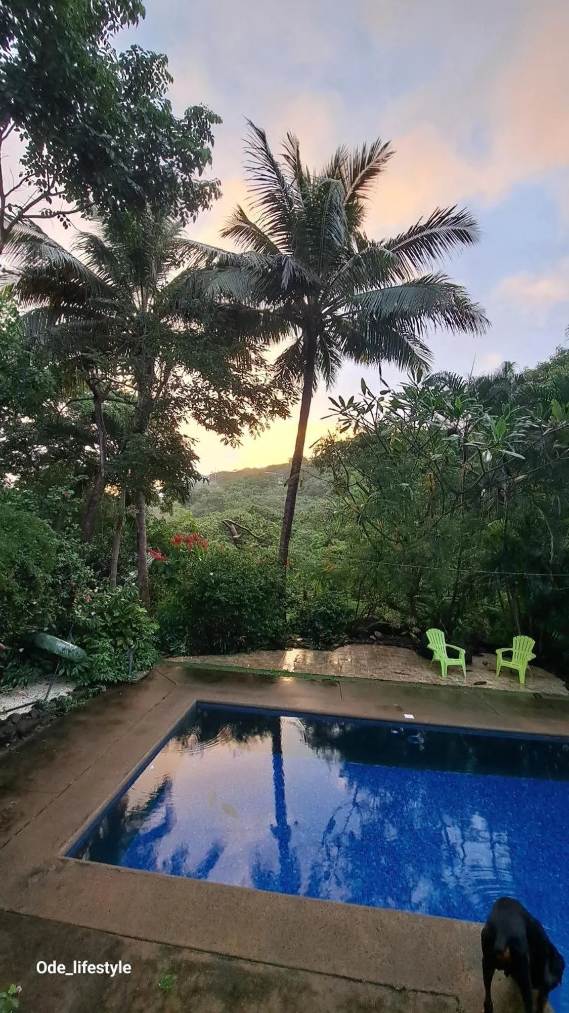Casa Avi Fauna - 4-Bedroom Home with Guest House, Private Pool, and 3/4 Acre of Nature Living