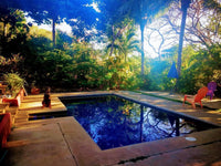 Casa Avi Fauna - 4-Bedroom Home with Guest House, Private Pool, and 3/4 Acre of Nature Living thumbnail