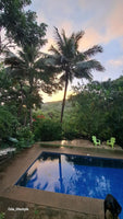 Casa Avi Fauna - 4-Bedroom Home with Guest House, Private Pool, and 3/4 Acre of Nature Living thumbnail
