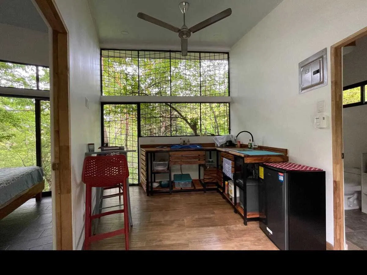 Casa Avi Fauna - 4-Bedroom Home with Guest House, Private Pool, and 3/4 Acre of Nature Living
