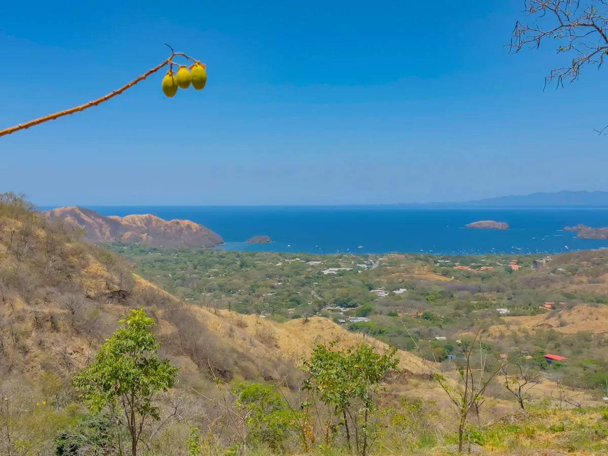 Ocean-View Lot in Ladera del Mar – Montevista Estates 15 | Build Your Dream Coastal Home