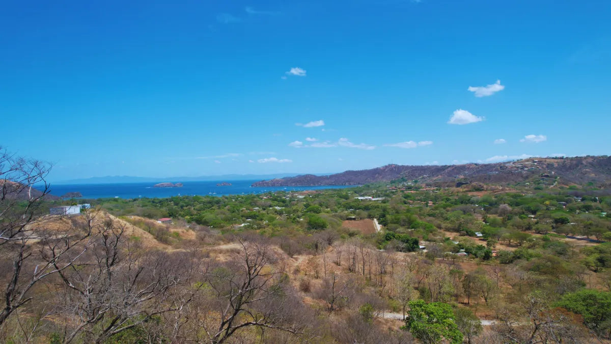 La Ceiba 1 – Tranquil Ocean View Lot Overlooking Playas del Coco