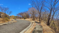 La Ceiba 2 – Stunning Ocean View Lot in Vista Marina thumbnail