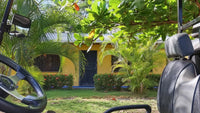 Armonía | Established Rental Property & Family Compound thumbnail
