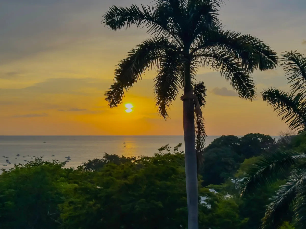 Laguna Vista | Sunset Ocean Views, Privacy & Room to Personalize