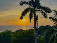 Laguna Vista | Sunset Ocean Views, Privacy & Room to Personalize thumbnail