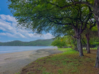 Aurea Coco – Prime Beachfront Lot in Playas del Coco thumbnail